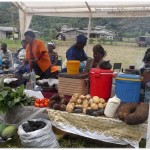 Agric Dept exposing raw food tubers
