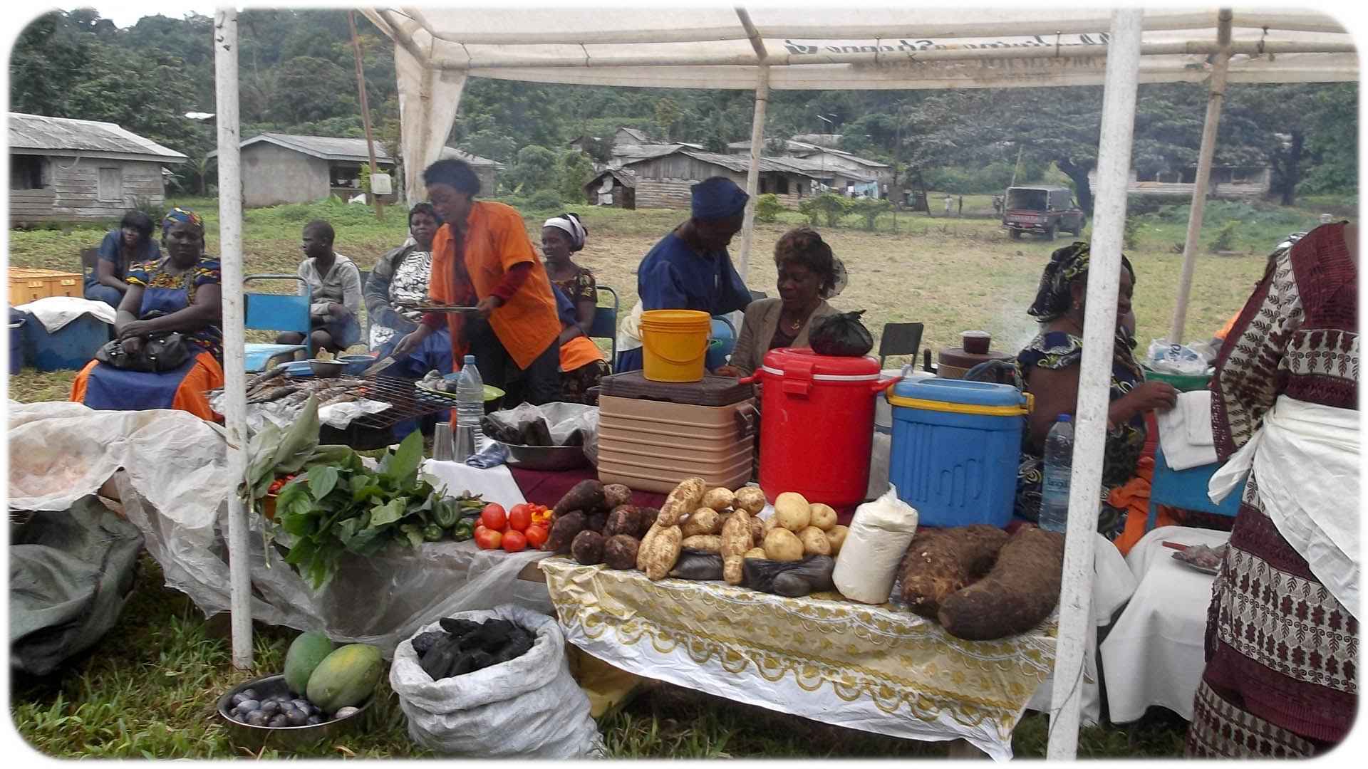 Agric Dept exposing raw food tubers